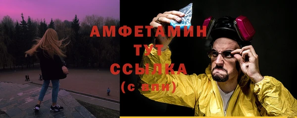 ALPHA PVP Краснослободск