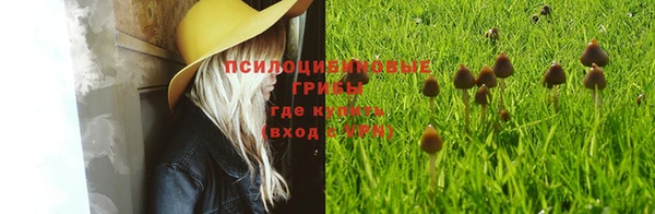 бутират Краснотурьинск