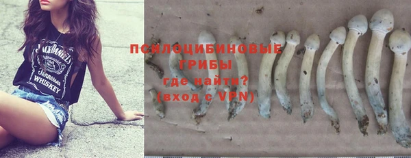 ALPHA PVP Краснослободск