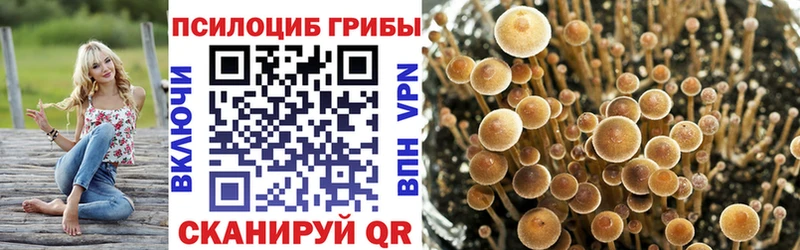 mega зеркало  Сурск  Галлюциногенные грибы ЛСД  продажа наркотиков 
